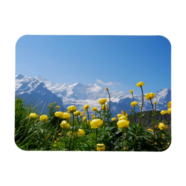 Imán Flores | Alpes suizos Eiger Monch (Horizontal)