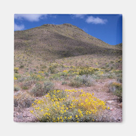 Imán Flores Amarillas en Death Valley