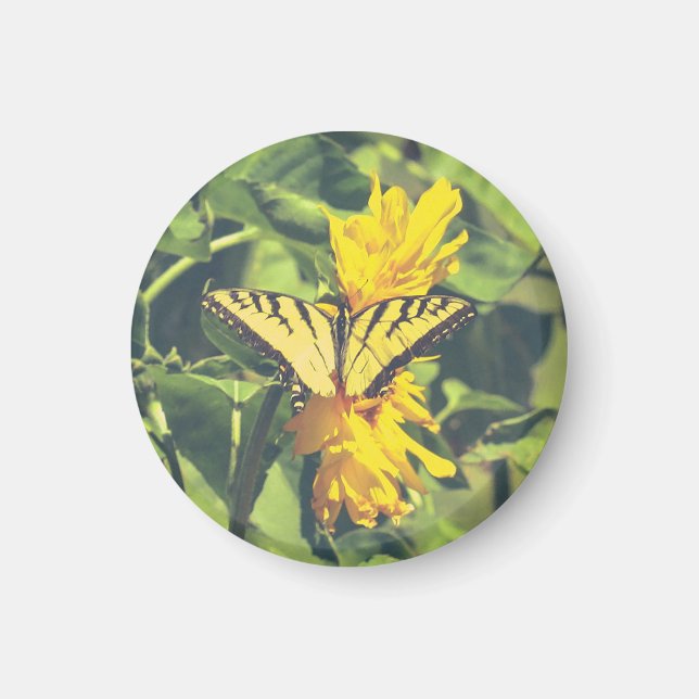 Imán Flores amarillas y mariposa (Frente)