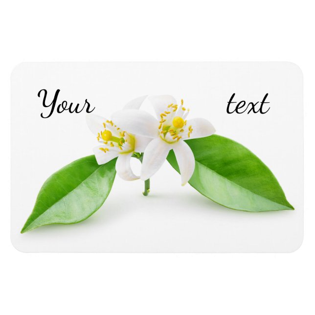 Imán Flores arbóreas naranjas (Horizontal)