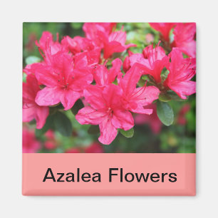 Imán flores azaleas rosas