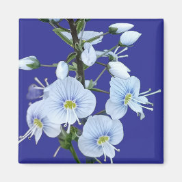 Imán Flores azules