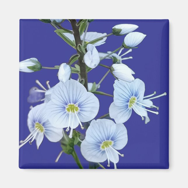 Imán Flores azules (Frente)