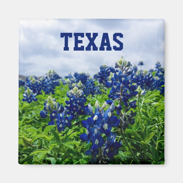 Imán Flores azules de Bluebonnets Texas Texan Floral (Frente)