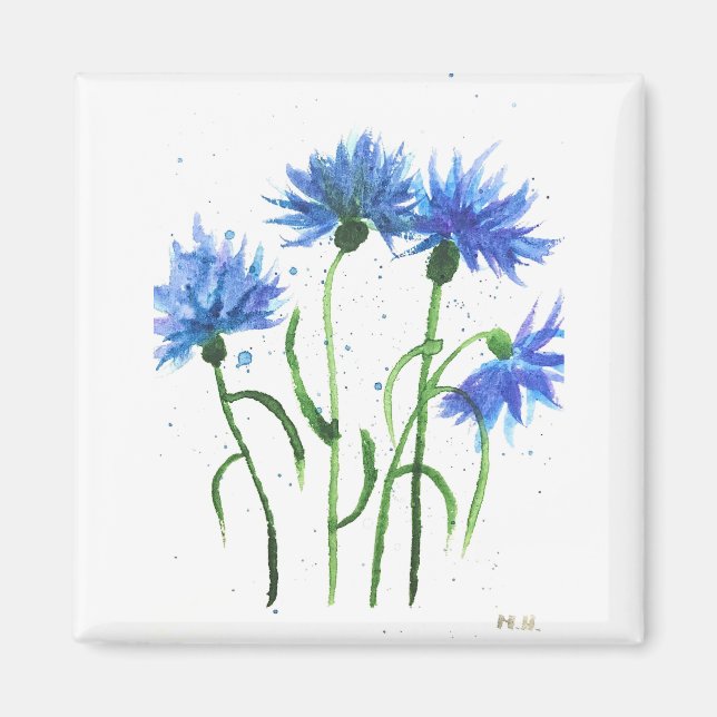 Imán Flores azules de cornflores acuarela (Frente)