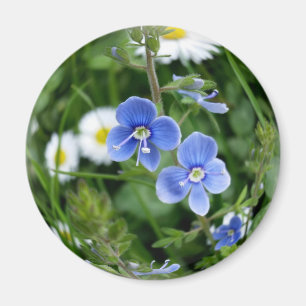 Imán flores azules minúsculas