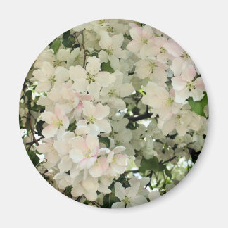 Imán Flores Blancas de Primavera Fotografía de Flores