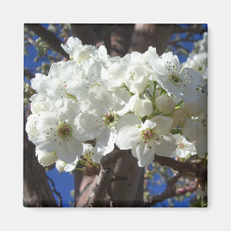 Imán Flores blancas II Árbol de flores primavera