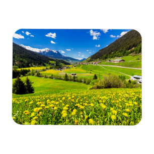 Imán Flores   Cantón Dandelion de Grisons, Suiza