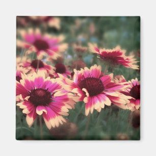 Imán Flores combinadas soñadoras