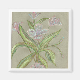 Imán Flores de Amilia