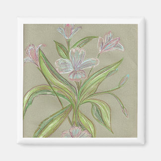 Imán Flores de Amilia