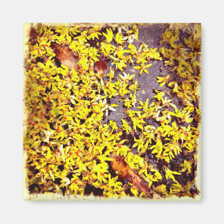 Imán Flores de arte extravagantes en el filtro retro te