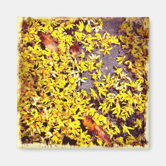 Imán Flores de arte extravagantes en el filtro retro te (Frente)