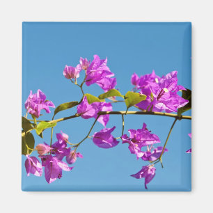 Imán Flores de Bougainvillea