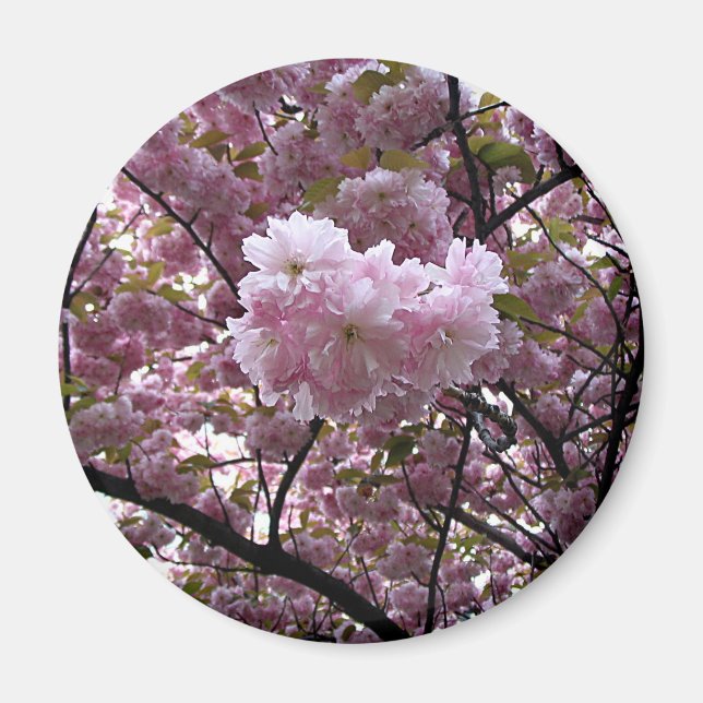 Imán Flores de cerezo (Frente)