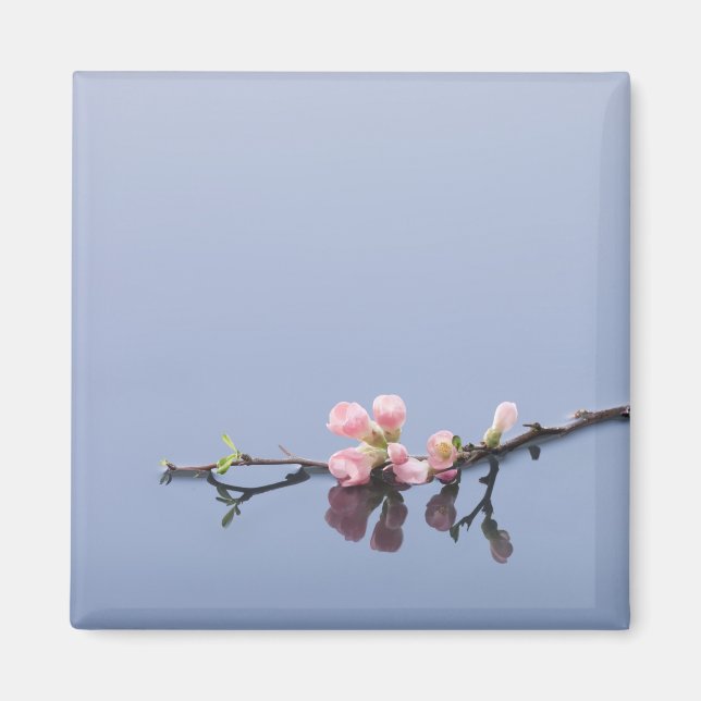 Imán Flores de cerezo en el agua (Frente)
