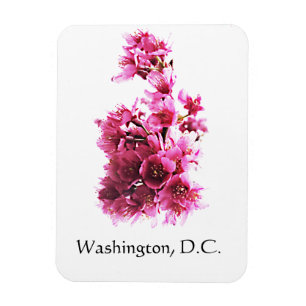 Imán Flores de cerezo en Washington, D.C.