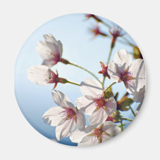 Imán Flores de cerezo retroiluminadas