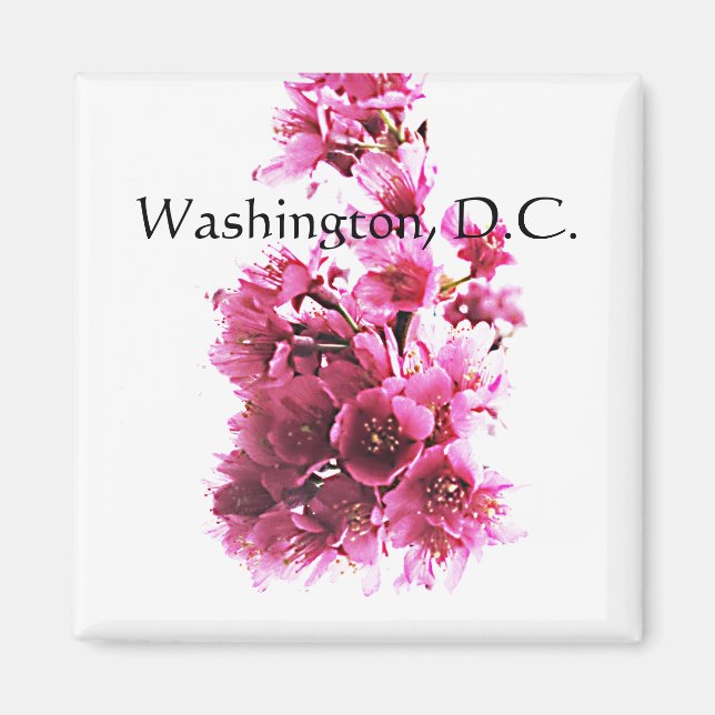 Imán Flores de cerezo. Washington, D.C. (Frente)