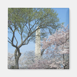 Imán Flores de cerezo y el monumento de Washington en D
