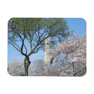 Imán Flores de cerezo y el monumento de Washington en D