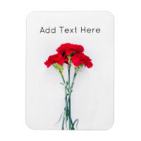 Flores de clavel rojo