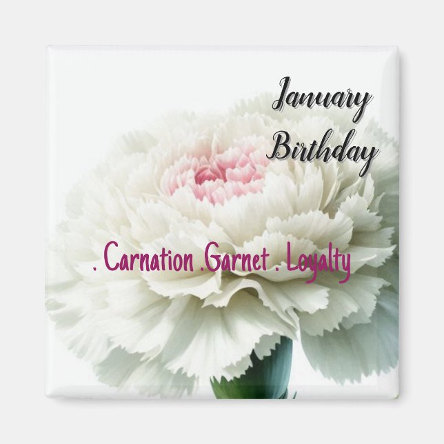 Imán Flores de cumpleaños de enero Clavel y granate (Frente)