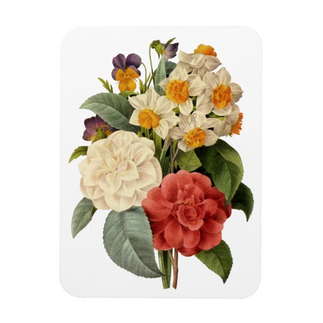 Imán Flores de época, camellias y narcisos, Redoute (Vertical)