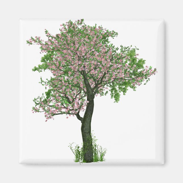 Imán Flores de flores de cerezo ramas de árboles (Frente)