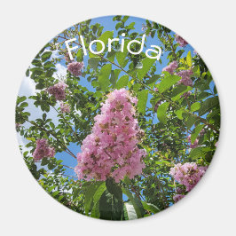 Imán Flores de Florida