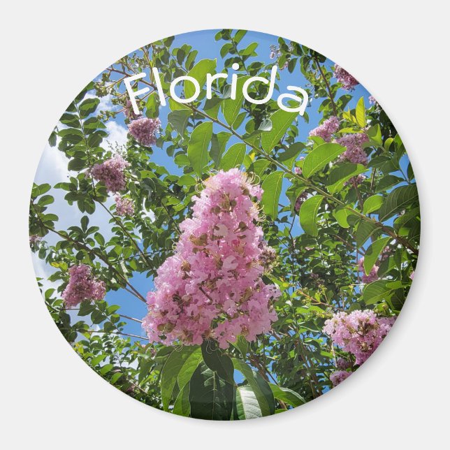 Imán Flores de Florida (Frente)