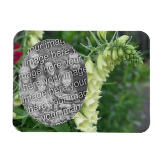Imán Flores de Foxglove Blancas Cremosas Añade Tu Foto