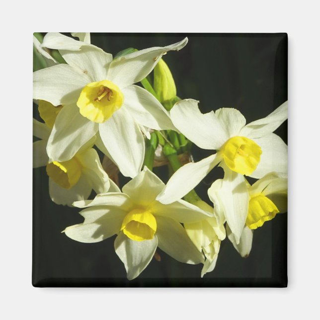 Imán Flores de invierno (Frente)