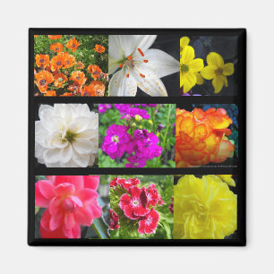 Imán flores de jardín coloridas