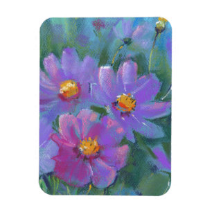 Imán Flores de jardín (Cosmos bipinnatus, Pascua mexica