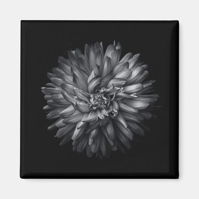 Imán Flores de Jardín en Blanco y Negro 20 (Frente)