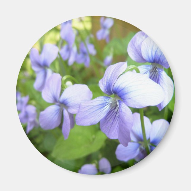 Imán Flores de jardín morado (Frente)