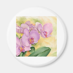 Imán Flores de la orquídea del Phalaenopsis - multi