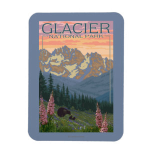 Imán Flores de la primavera - Parque Nacional Glacier,