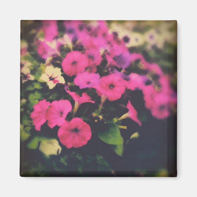 Imán Flores de la tienda de comestibles (Frente)