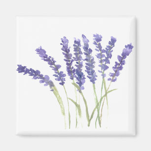 Imán Flores de lavanda acuarela hierbas rústicas