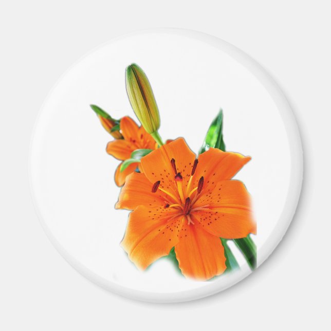 Imán flores de lirio dorado (Frente)