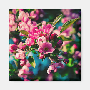 Imán Flores de manzana de cangrejo rosa