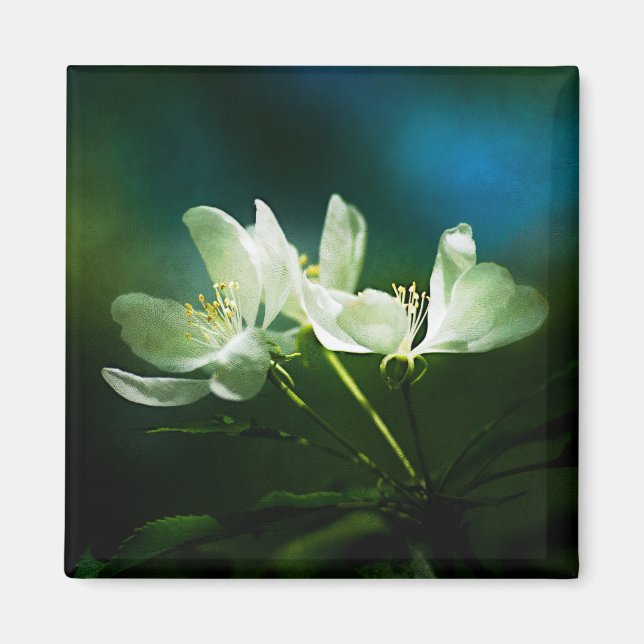 Imán Flores de manzana - Dos flores (Frente)