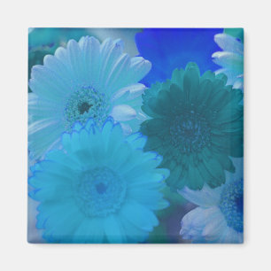 Imán Flores de margarita azul Gerbera Refrigerador iman