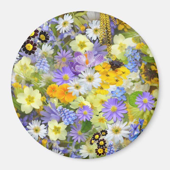 Imán Flores de margarita, primavera, narciso (Frente)