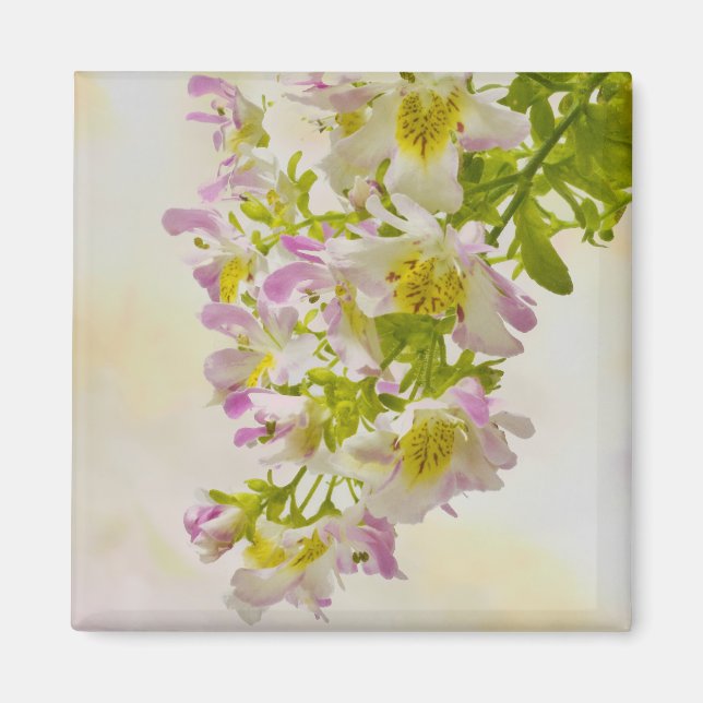 Imán Flores de mariposa (Frente)