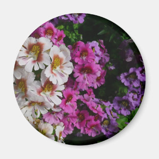 Imán Flores de mariposa de rosa blanco y morado