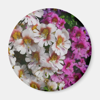 Imán Flores de mariposa de rosa blanco y morado